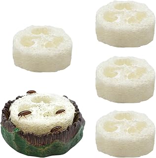 Cockroach Water Basin with 4 Loofah Set, Dubia Roach Water Dish, Dubia Roach Container for Roaches, Mealworms, Crickets, Isopods