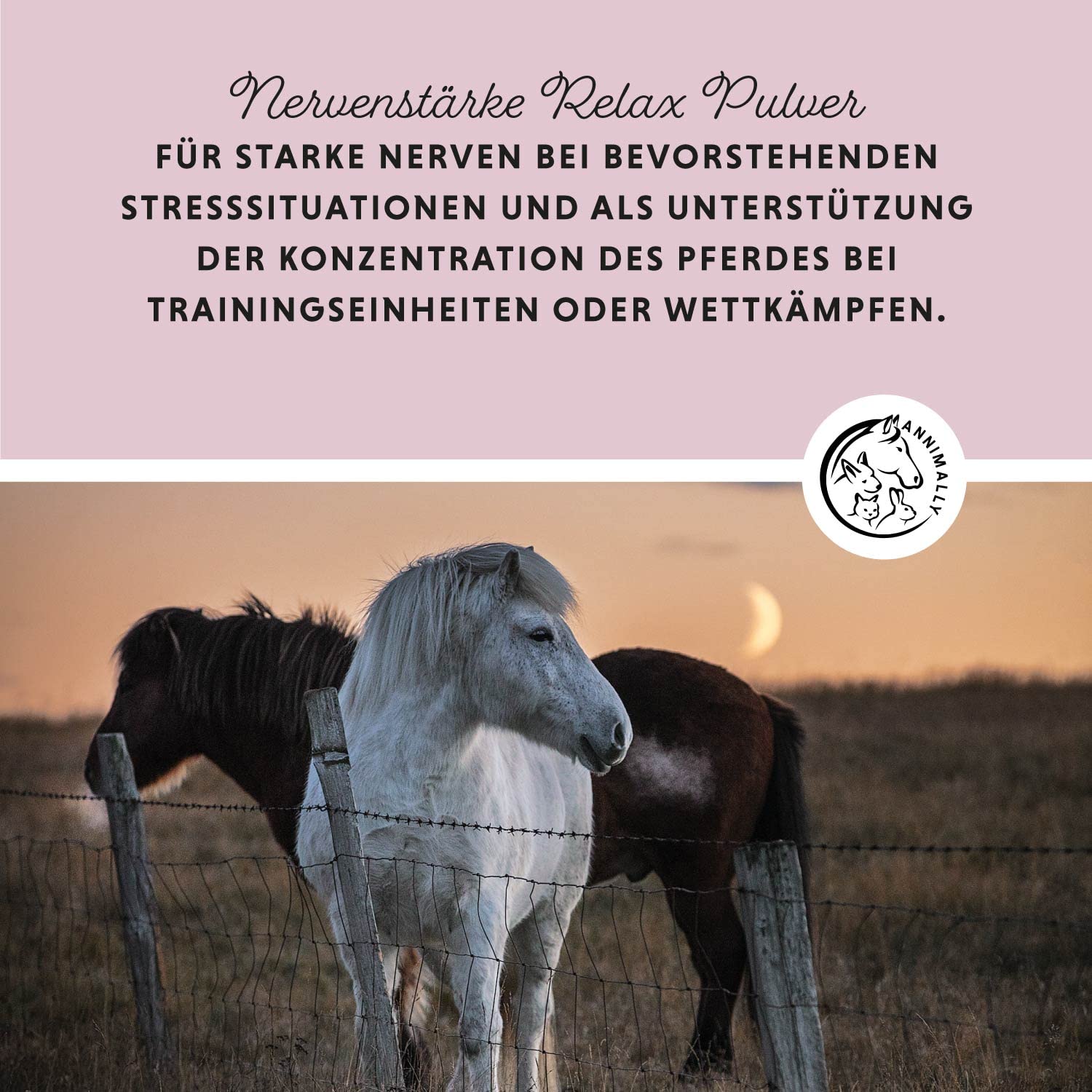 Annimally Nervenstärke - Pferde Relax Nerven Pulver 850g zur Beruhigung beim Pferd - Nervenkräuter mit Magnesium, Tryptophan, Baldrian, Passionsblume & Hanföl gegen Angst, Stress & für Transport