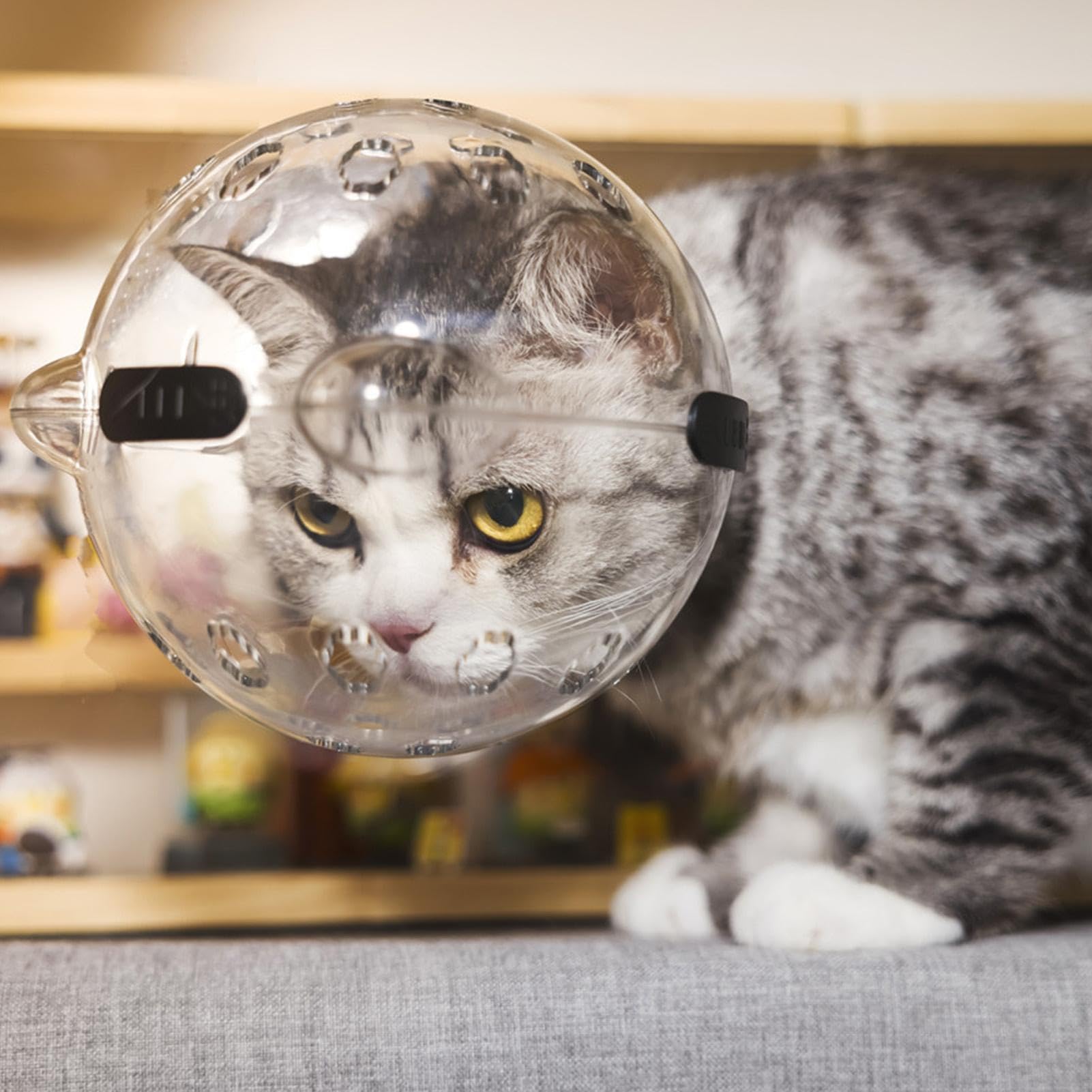 Cat Bubble Schnauze - Cat Ear Bubble Schnauze, Cat Grooming Head Cover | Anti Bite Cat Schnauze, Katzenzubehör, Katzenbäder Rasierschnauze, Atmungsaktiver Komfort, Katzenpflege-Werkzeug