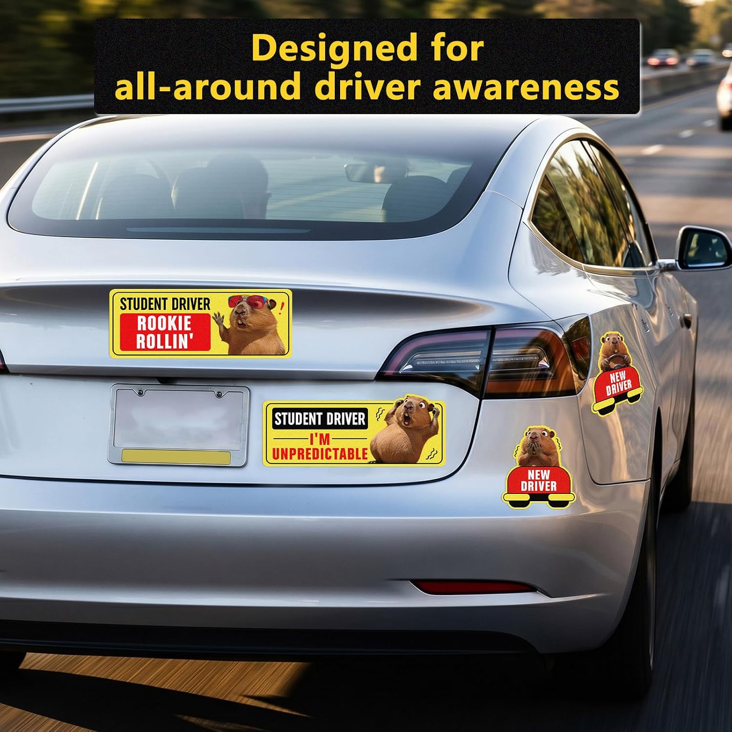 4Pcs Funny Capybara Student Driver Magnet for Car, Reflective New Driver Magnet, Reusable Movable Bumper Stickers, Rookie Rollin & I'm Unpredictable Magnetic Safety Signs for Teens Rookies image 3