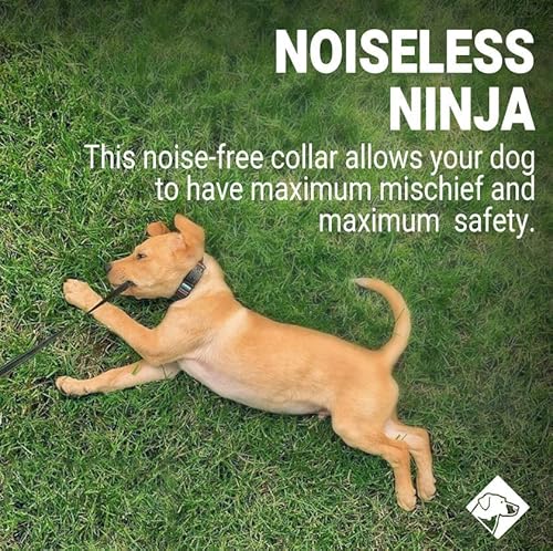 Road Id Silent Personalized Engraved Dog Tags For Pets, Black X-Large Jingle Free Slide On - Custom Silicone Name Tag - Stainless Steel - Graphite - 1.25-1.50” Collars - Works On Cat & Horses Bridle #TOP6