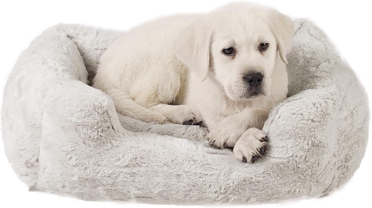 Best Friends by Sheri Soothe & Snooze Lounge Lux Memory Foam Rectangular Dog Bed, Washable, Oyster, Small 20" x 15"