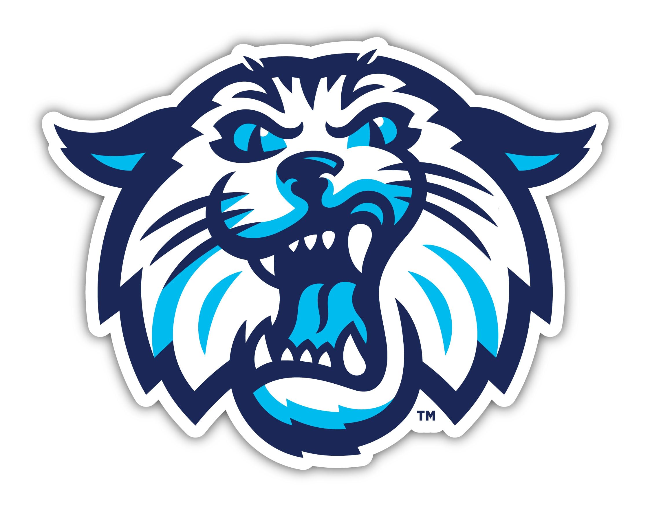Villanova Wildcats Logo History : r/ClassicSportsLogos, image size:2245x1751