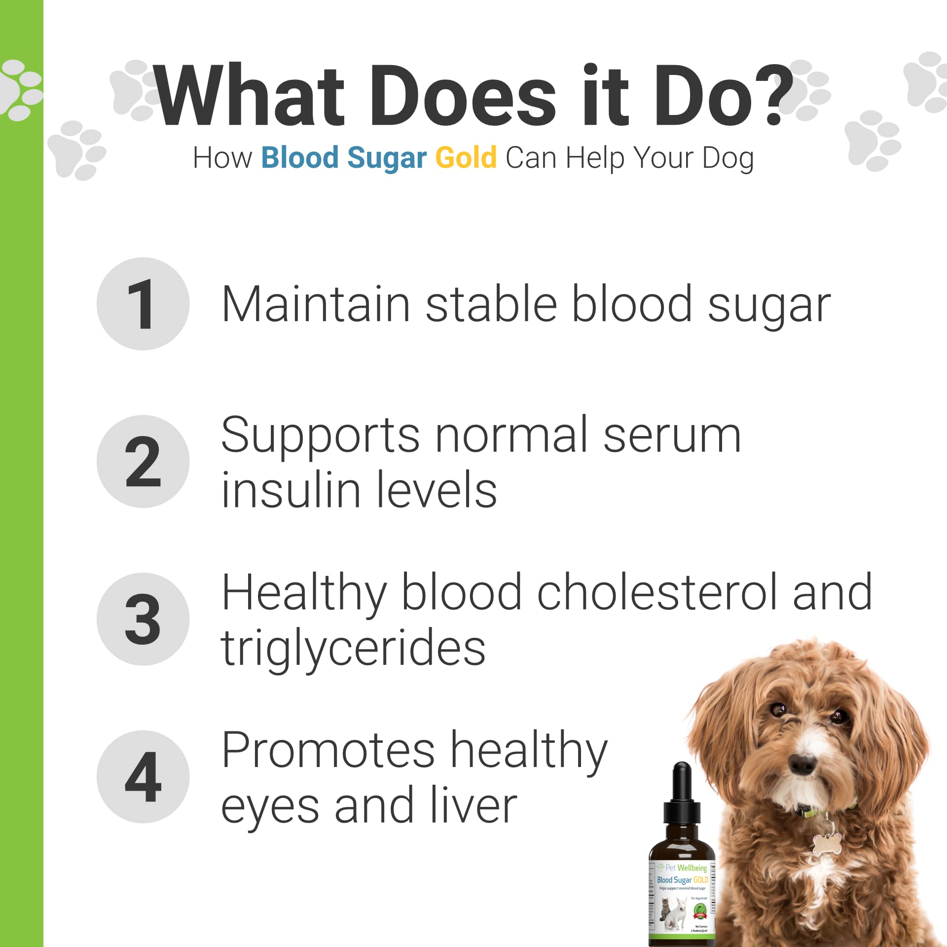 What Is A Normal Blood Sugar Level For A Dog