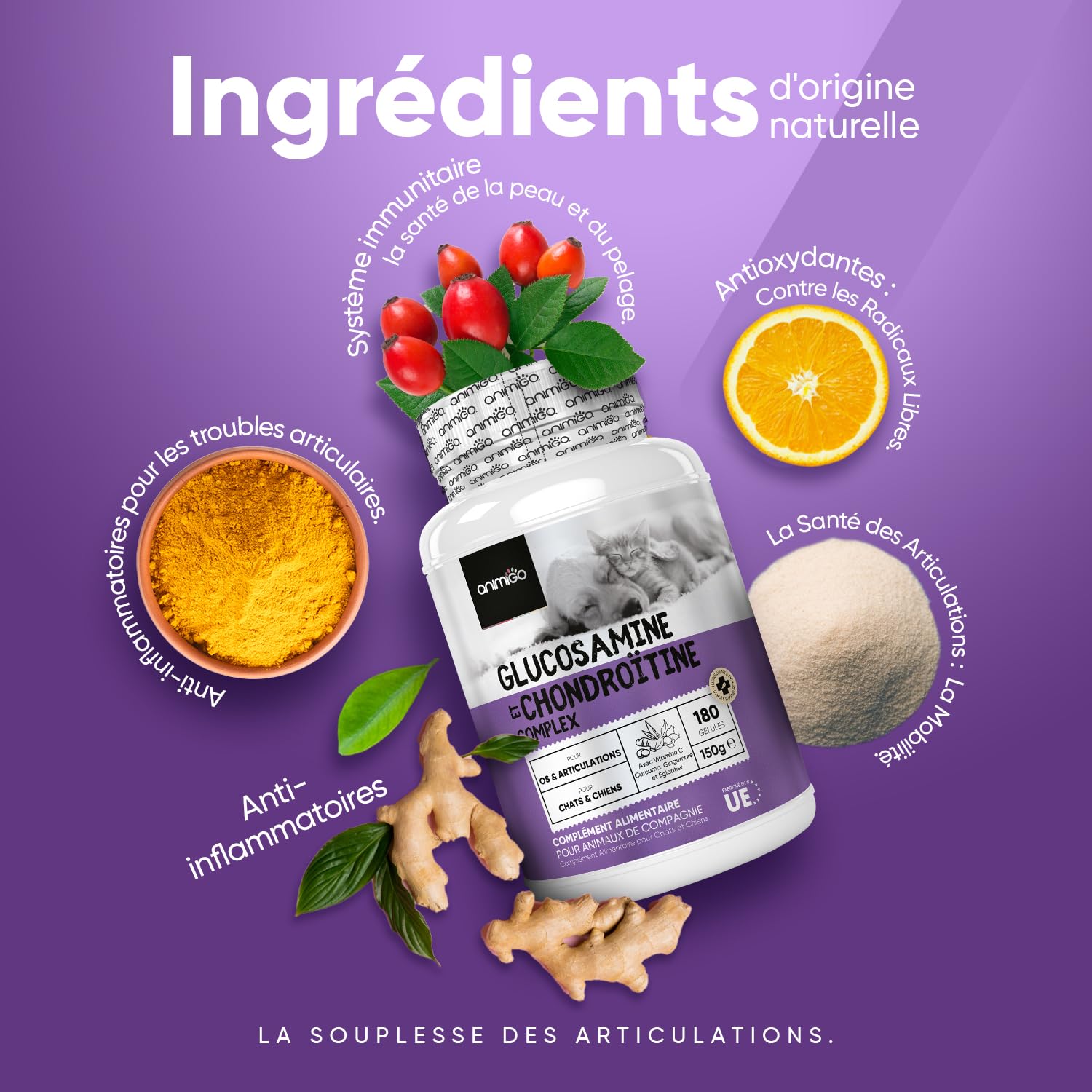 Glucosamine Chondroïtine Chien & Chat -180 Gélules avec Vitamine C, Curcuma, Gingembre, Églantier - sans Odeur, Anti Inflammatoire, Aide d'arthrose, Cartilage, Os, Souplesse, Chondroprotecteur