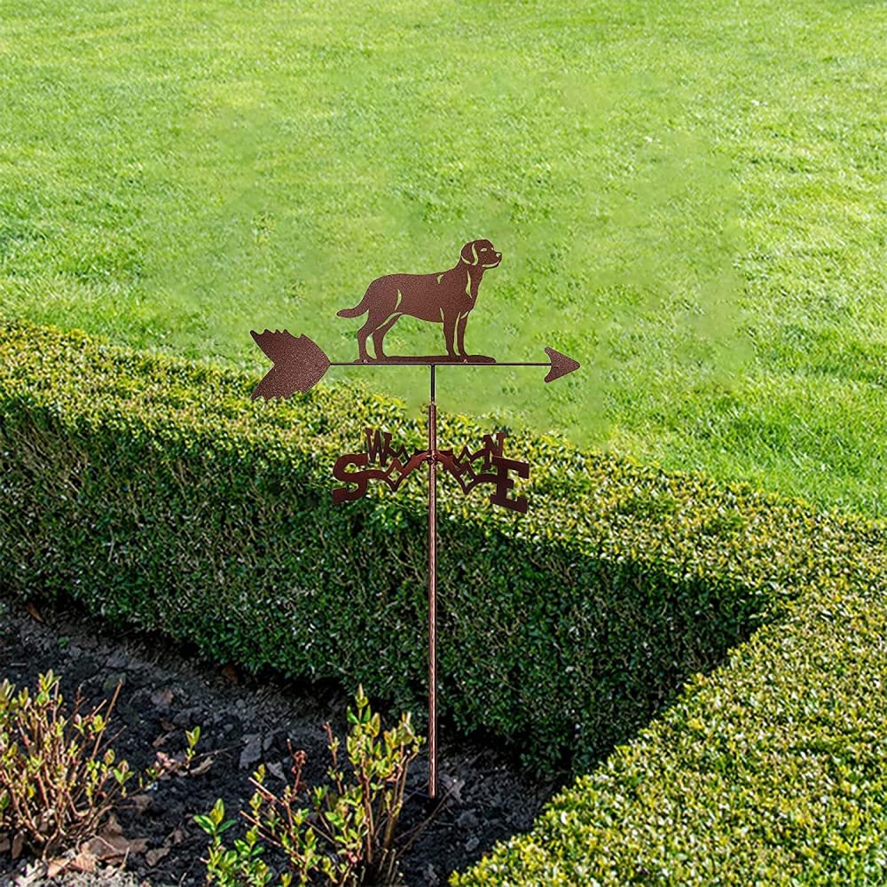 Girouette Coq En Acier Inoxydable - Décoration De Jardin, Abri, Cour, 50x30 Cm, Indicateur De Direction Du Vent - 4