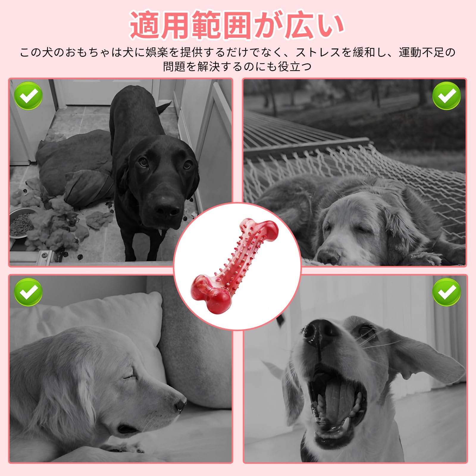 Amazon | kasanidika 犬おもちゃ 犬噛むおもちゃ 骨犬のおもちゃ