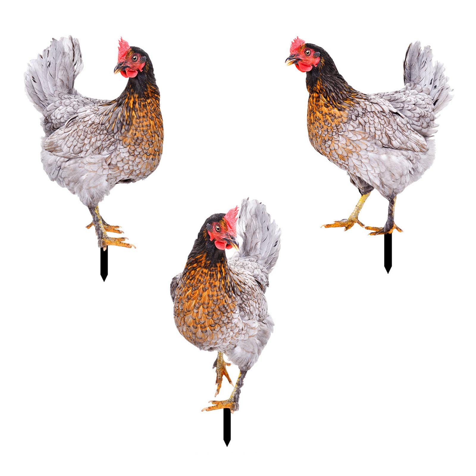 Sculpture de poulet en acrylique : fini le jardin triste avec ce lot de 3 piquets