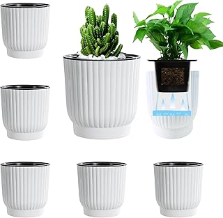 East Leaf 自動給水 プランター 底面給水鉢 植木鉢 自己給水 底面 貯水槽付 観葉植物 おしゃれ M 11.5×12cm (6個セット)