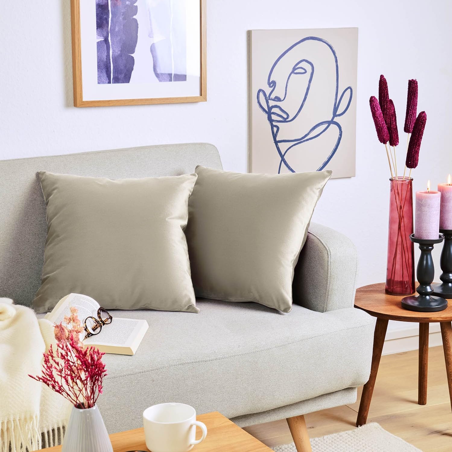 Blumtal Set di 2 Federe Cuscini Divano 40x40 cm in Velluto, con Chiusura Lampo Invisibile, Eleganti Copricuscini Divano in Morbido Velluto,Taglia 40 x 40, Taupe