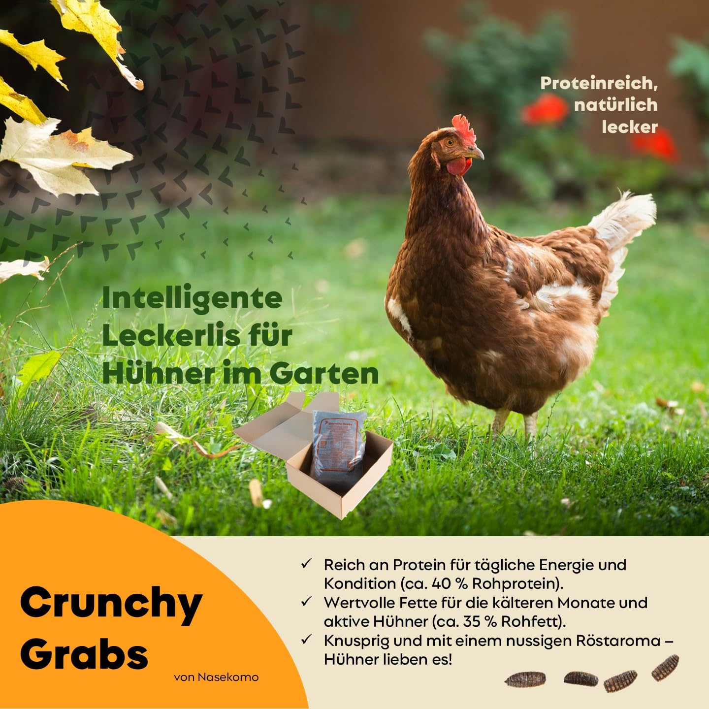 Getrocknete Schwarze Soldatenfliegenlarven 1 kg | Proteinreiches Naturfutter für Hühner, Vögel, Reptilien, Igel & Fische | Ergänzungsfutter für Hunde & Katzen | EU | Ohne Zusatzstoffe