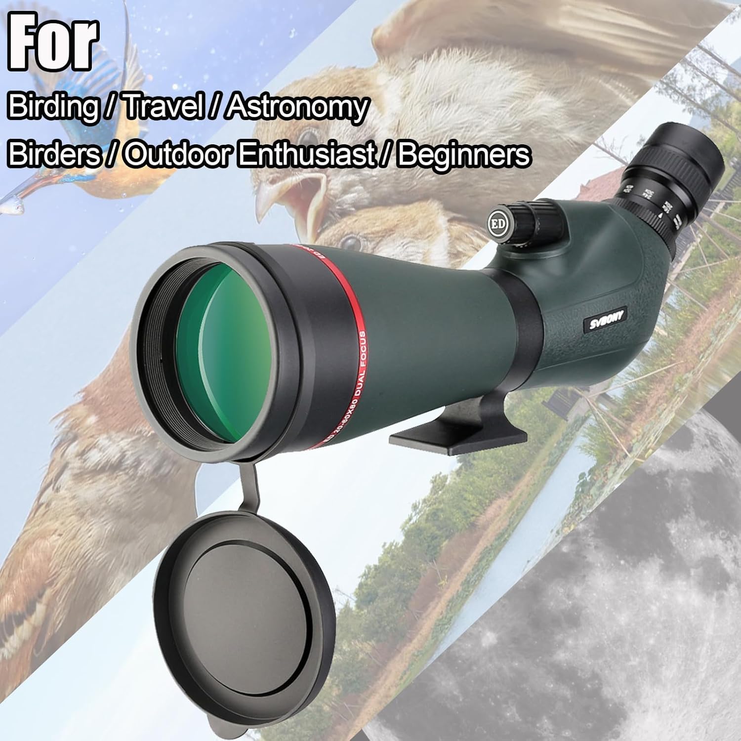 SVBONY SV406P 20-60x80 Angled Spotting Scopes, ED Dual Focus Spotter Scope for Bird Watching, IPX7 Waterproof Spotting Scopes for Wildlife Viewing, Compatible with SC001 WiFi Camera