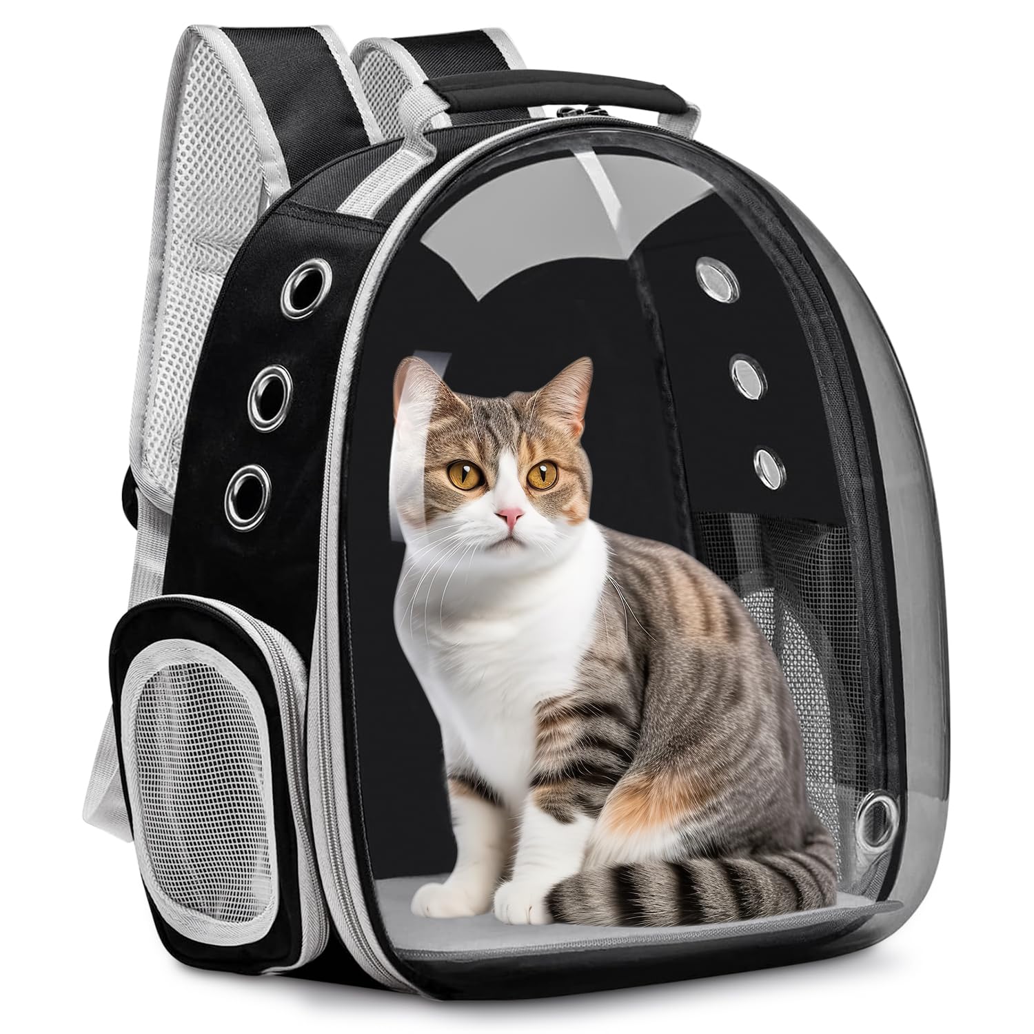 PETIFY Transparent Pet Carrier Backpack: Explore in Style with Your Furry Friend - Airline Approved, Ventilated Design - Perfect for Travel-Color Black (B0CD7ZQD4T) Amazon Price History, Amazon Price Tracker