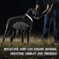 Vista 5 de FUAMEY Chaleco acolchado para perro, abrigo reflectante de invierno para perro, chaqueta de invierno cálida a prueba de viento, ropa cómoda