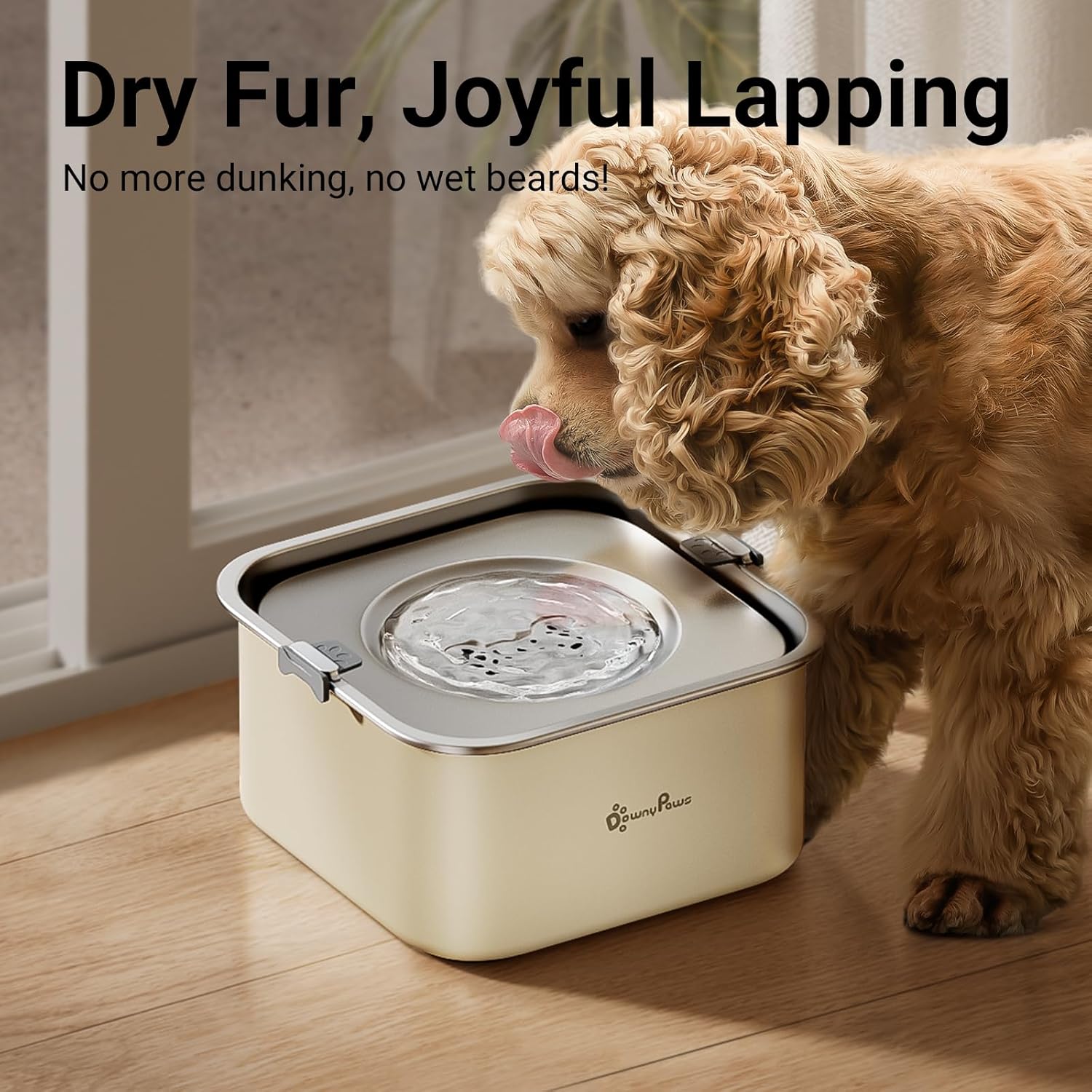 A dog drinking from the DownyPaws water bowl, showing its fur remaining dry around the mouth area.