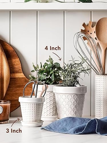 Miniatura 2 de LE TAUCI Macetas de cerámica para suculentas, maceta pequeña de 4 pulgadas para plantas de interior, macetas en relieve con orificio de drenaje y