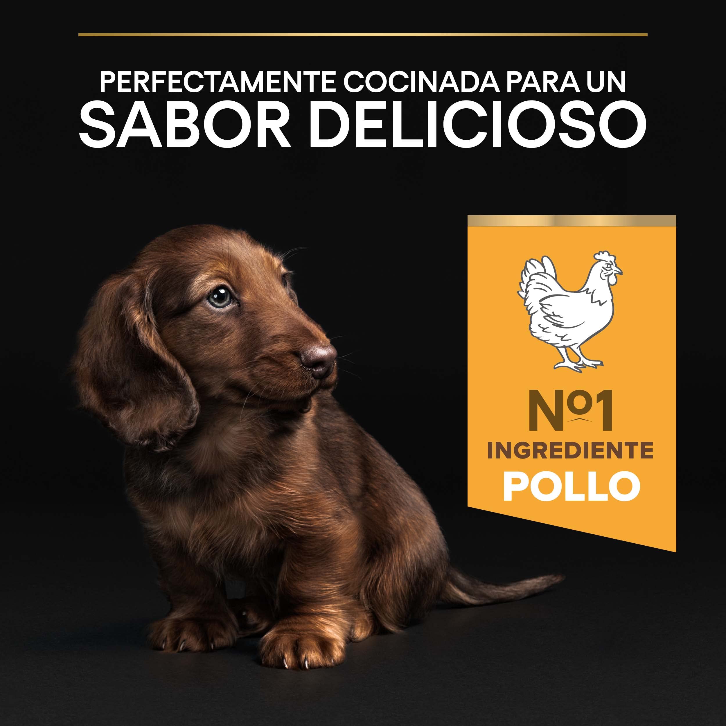 Pro Plan Small&Mini Puppy Start pienso perro Cachorro con calostro 8x700 g