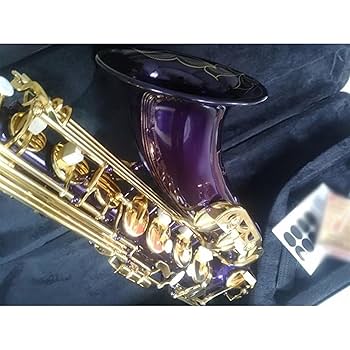 Amazon | サックス テナーサックス紫色ゴールドキーサックス