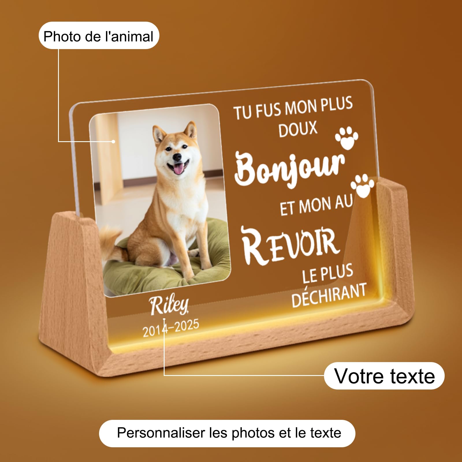 Veilleuse Mémoire pour Chien Personnalisée – Lampe LED avec Photo & Nom d'animal, Cœur & Empreintes de Patte, Cadeau de Deuil pour Amoureux des Chiens, Souvenir avec Date (Style D)