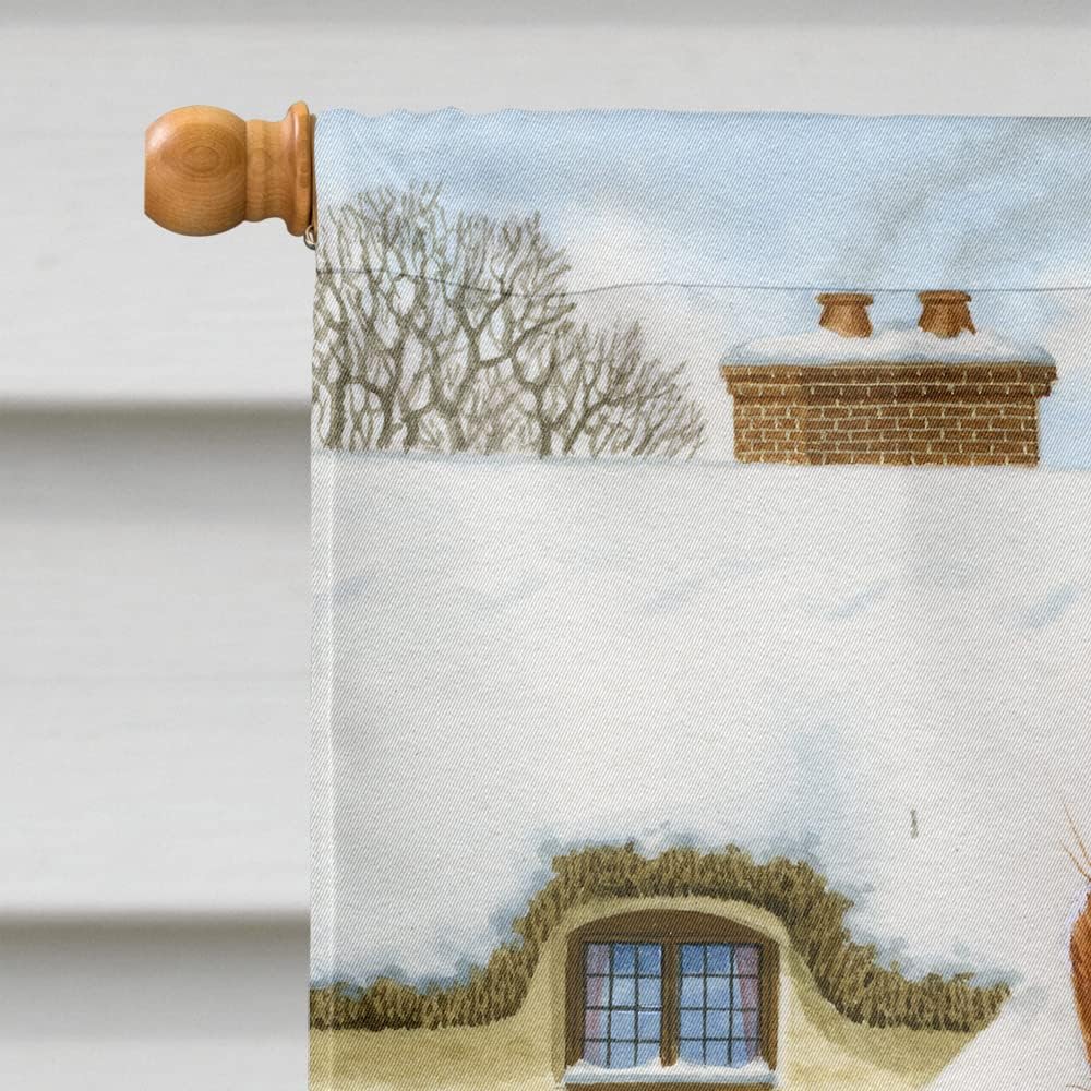 Caroline's Treasures ASA2014CHF Red Squirrel & Cottage House Flag Large Porch Sleeve Pole Decorative Outside Yard Banner Artwork Wall Hanging, Polyester, House Size, Multicolor