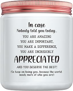 Inspirational Gifts for Women - Thank You Appreciation Gifts for Coworker Women Work Anniversary Assistant Principal Manager Birthday Gift