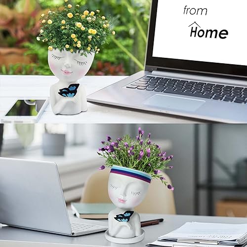 Miniatura 10 de WEWEOW Maceta de cara para plantas de interior y exterior, de resina, con agujero de drenaje, bonitas macetas de cara de dama