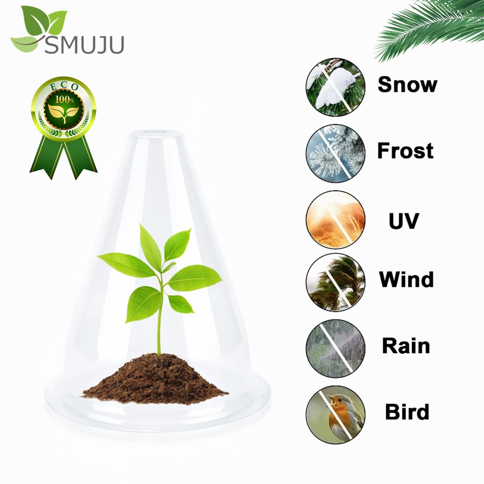 Chapeaux de Plantes Transparent 20 cm 24 Pièces Protection Oiseaux Gel Intempéries