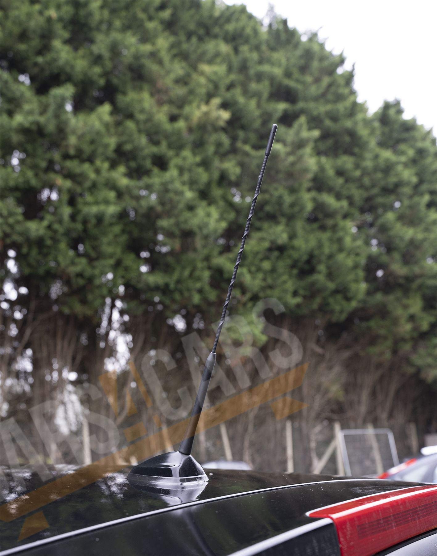 Fits Astra Corsa Vectra AM/FM Aerial Antenna Roof Mast Bee Sting 3