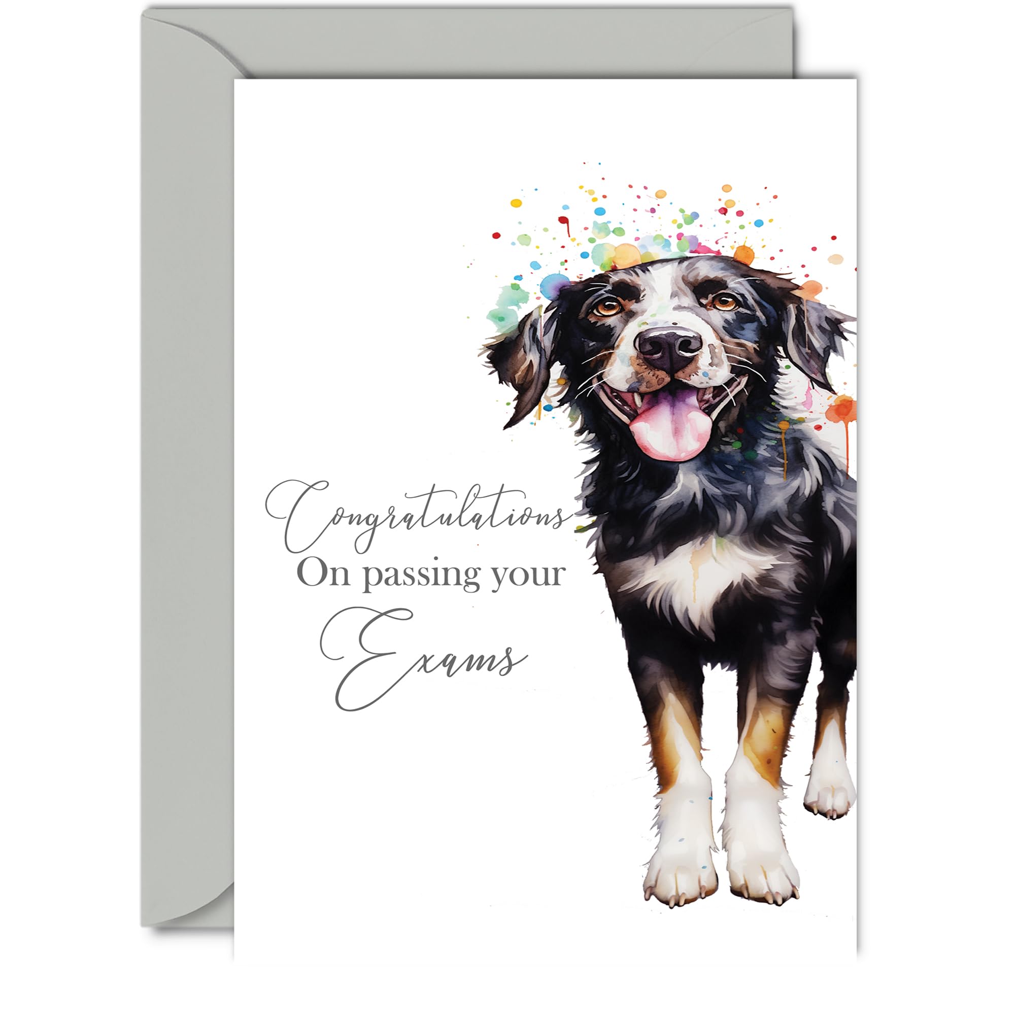Passed Exam Card Congratulations - Party Dog - Pass Exam Gifts for Students Exam Pass School GCSE A Level College Uni University, Well Done Congrats Card, 5x7 Inch Greeting Cards