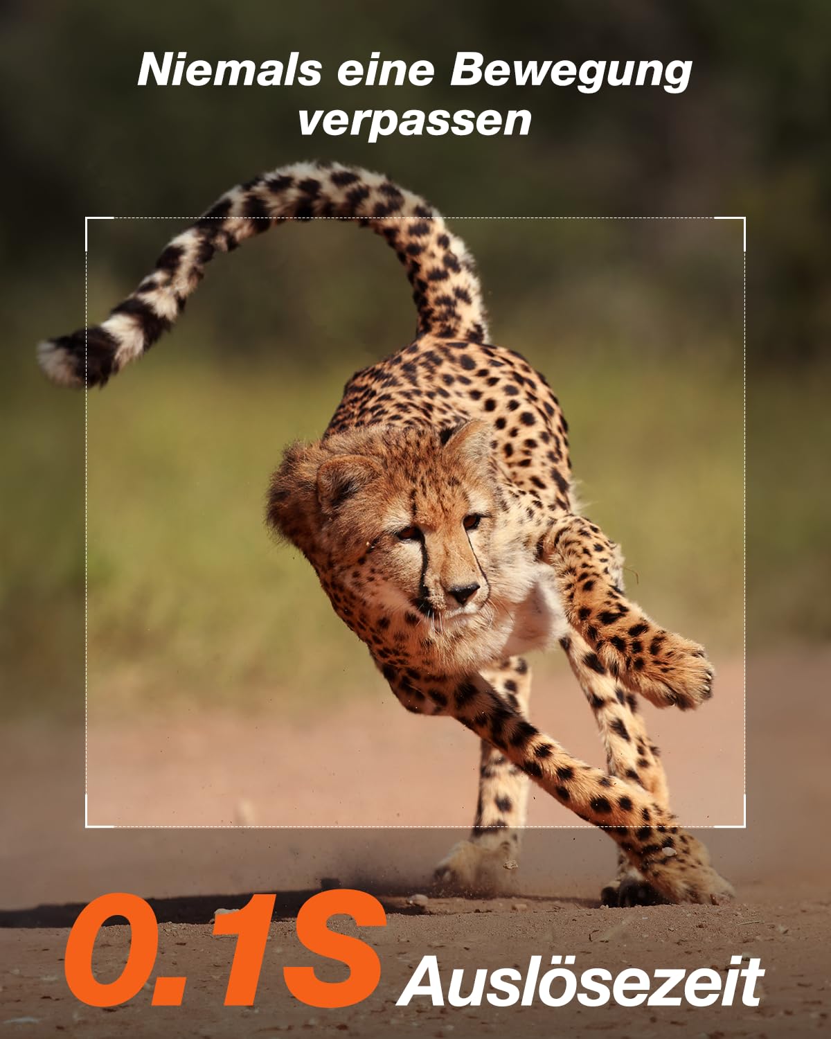 iZEEKER Solar Wildkamera 4K 30fps 48MP, Wildtierkamera mit 2600 mAh Akku, Wildkamera mit Bewegungsmelder Nachtsicht, Kein WLAN, IP66 Wasserdicht für Wildtierbeobachtung & Heim Sicherheit
