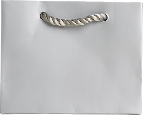 Jillson Roberts Bulk Tiny Tote Bolsas de regalo disponibles en 11 colores, plata mate, 120 unidades (BTT914)