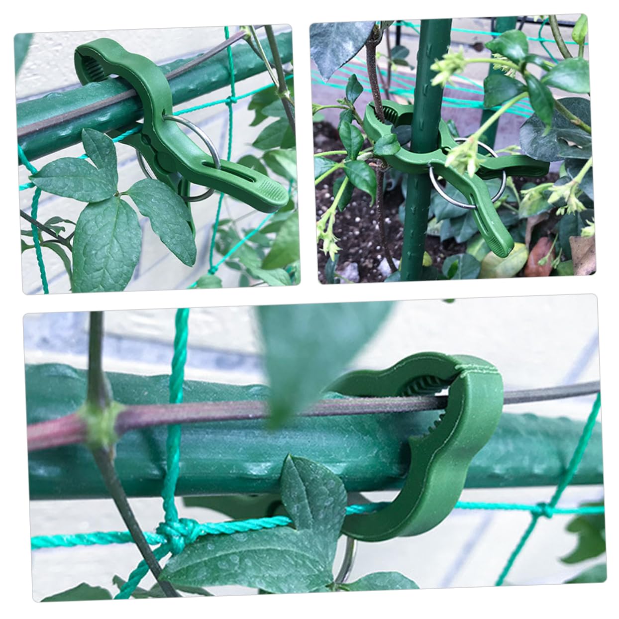Sosoport 5 Sätze Pflanzenclip Set Gartenclip Zum Umpflanzen Gemüsehalterung Topfpflanzen Tomatenstützen Tomatenpflanzen Kletterclips Für Den Außenbereich Kunststoff 50 Stück * 5