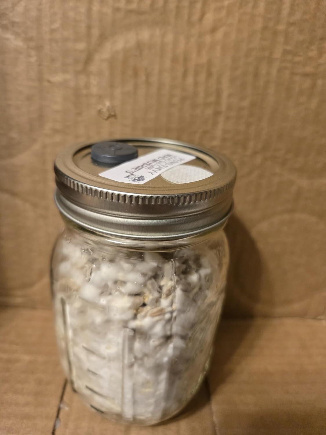 Fully colonized rye Grain Spawn