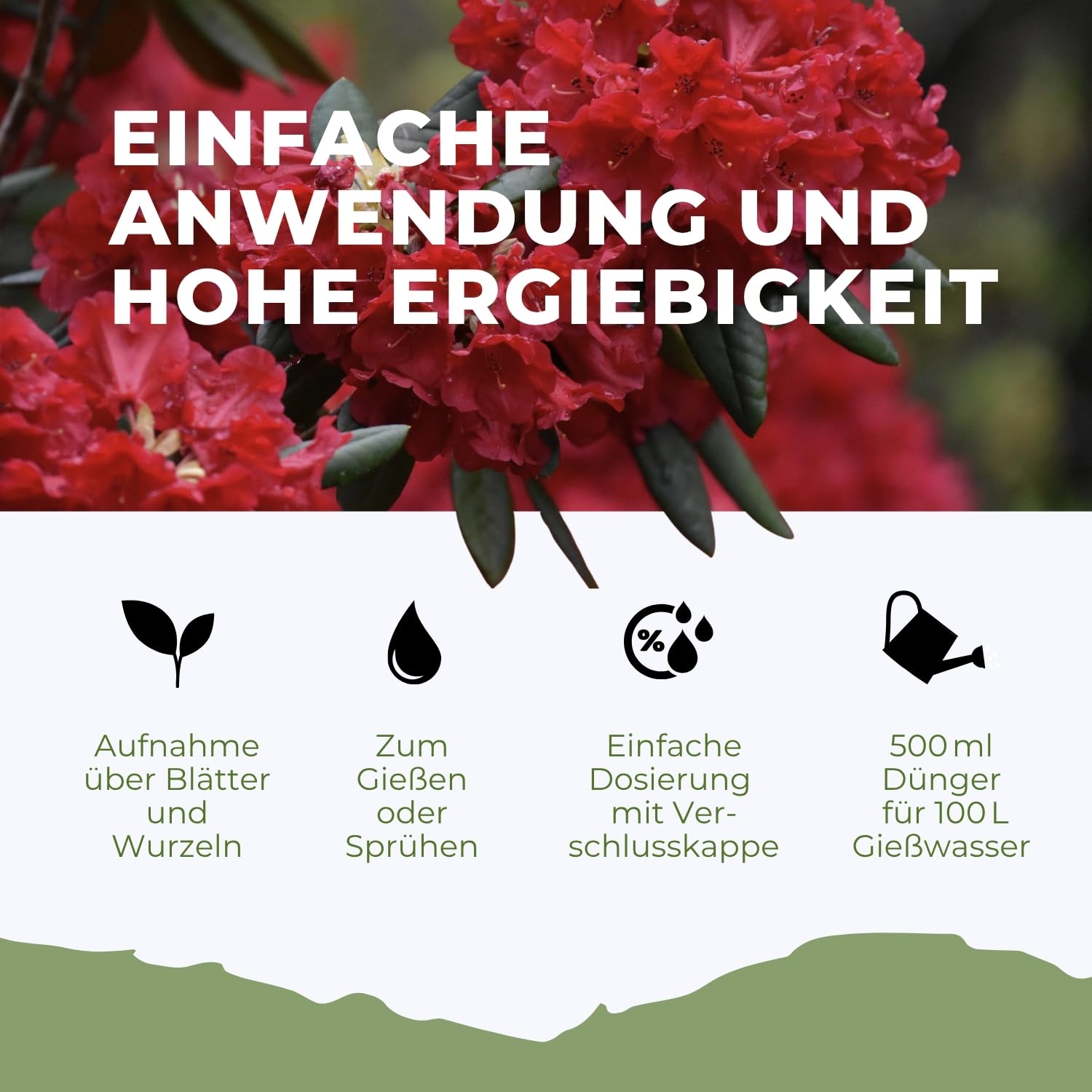 Konfitee Flora Boost Rhododendron Dünger 5000ml - Für bis zu 1000L Gießwasser - Blumendünger für Rhododendron Pflanzen - Flüssiger Blatt- & Wurzeldünger - 100% natürlicher Pflanzendünger
