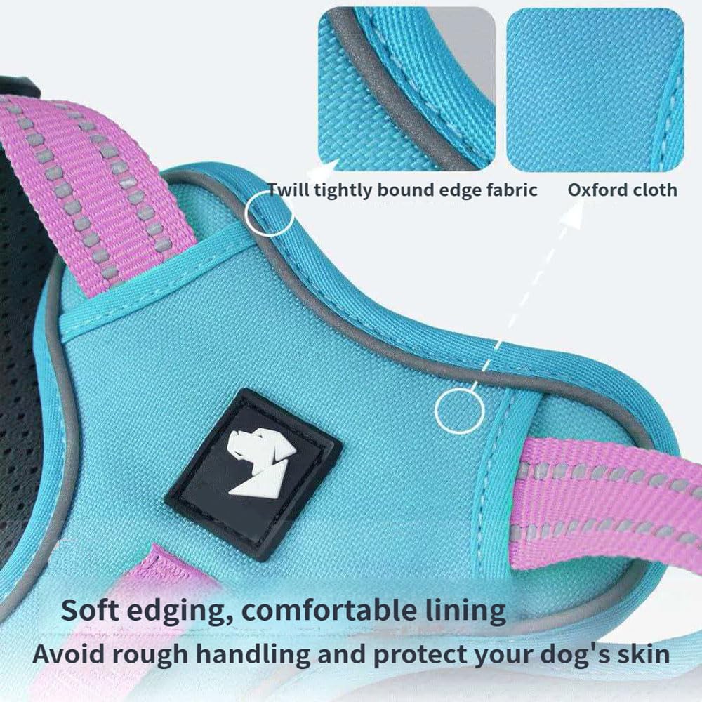 Questo set composto da pettorina e guinzaglio è progettato specificamente per i Saint Bernard. Include una pettorina regolabile e resistente alla trazione con un guinzaglio di 1,5 metri. red XL