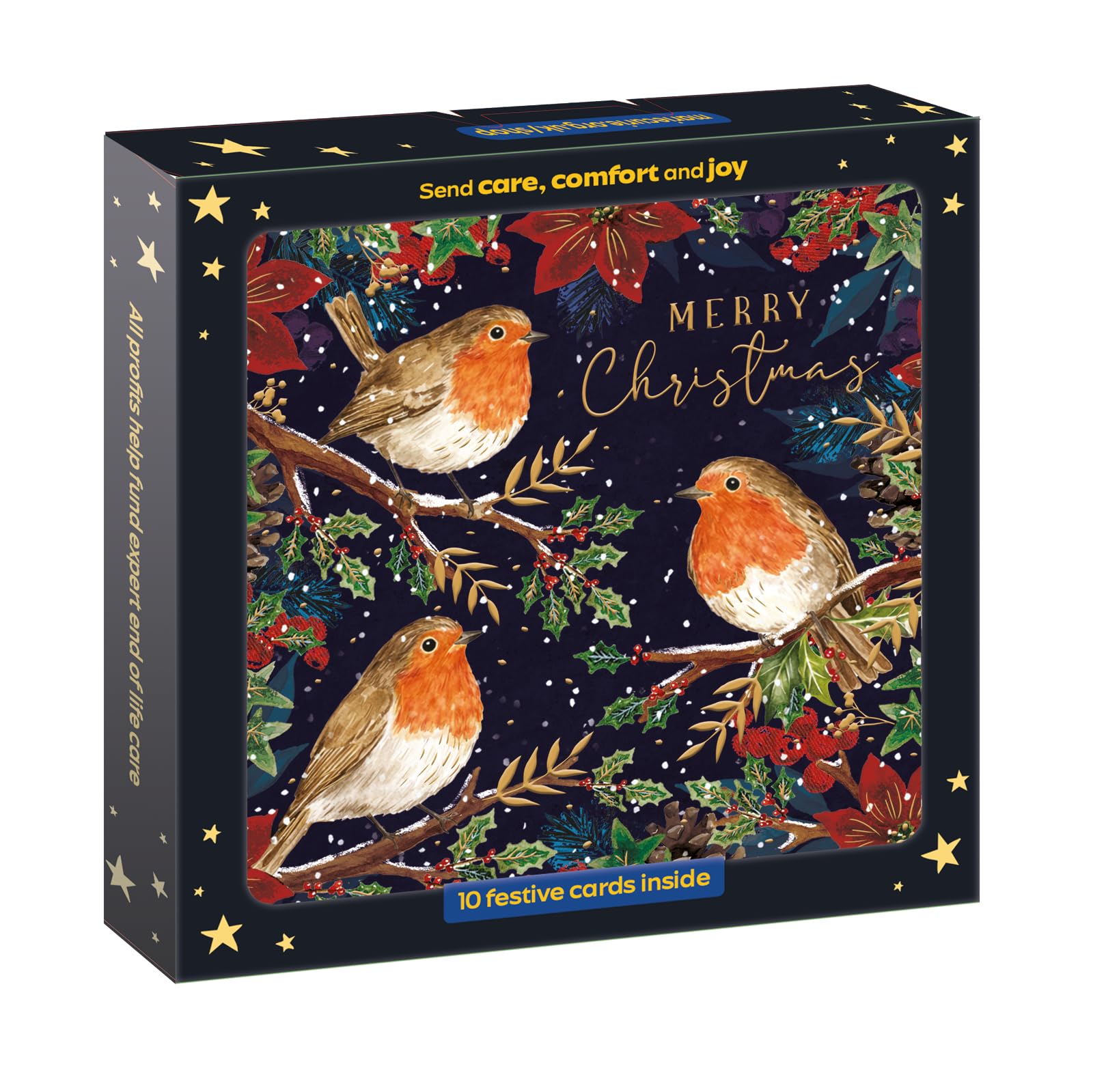 Marie Curie Charity Robin and Berries Christmas Cards - 10 Pack with Envelopes, 14x14cm