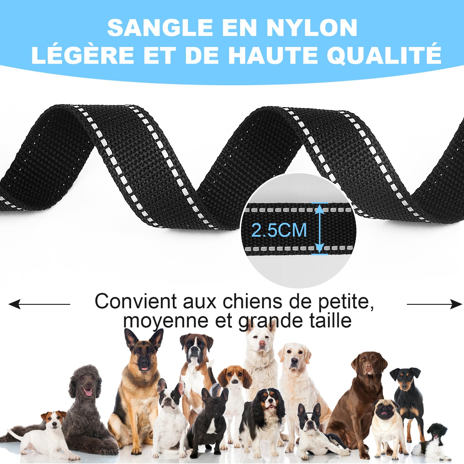 Longe pour Chien - Longe 3M 10M 20M 30M Laisse pour Chien, Laisse de Dressage avec Poignée pour Chiens, Refléchissant (10M)