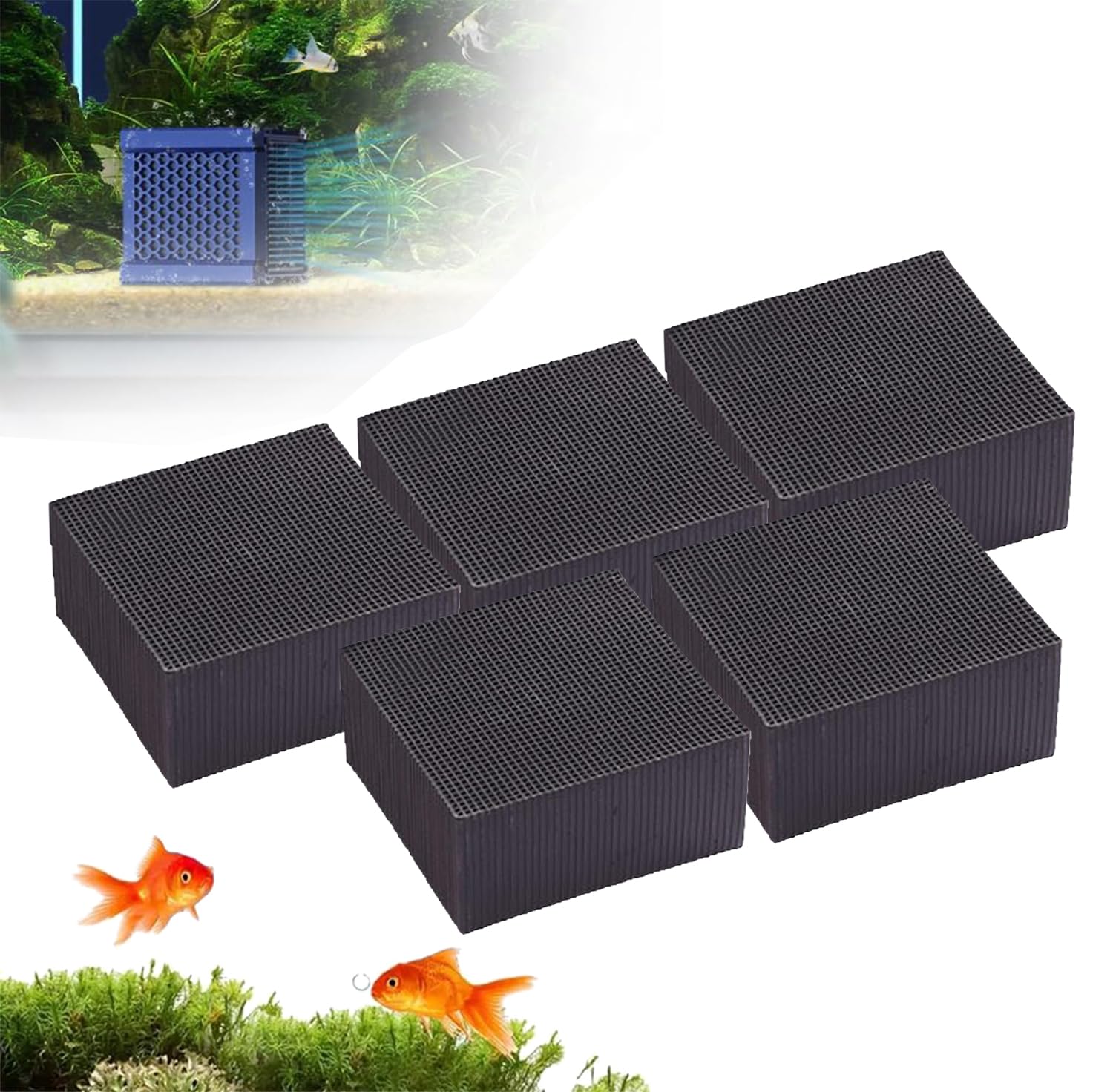 Filtre à charbon actif pour l'eau éliminant impuretés et odeurs de bassin de jardin