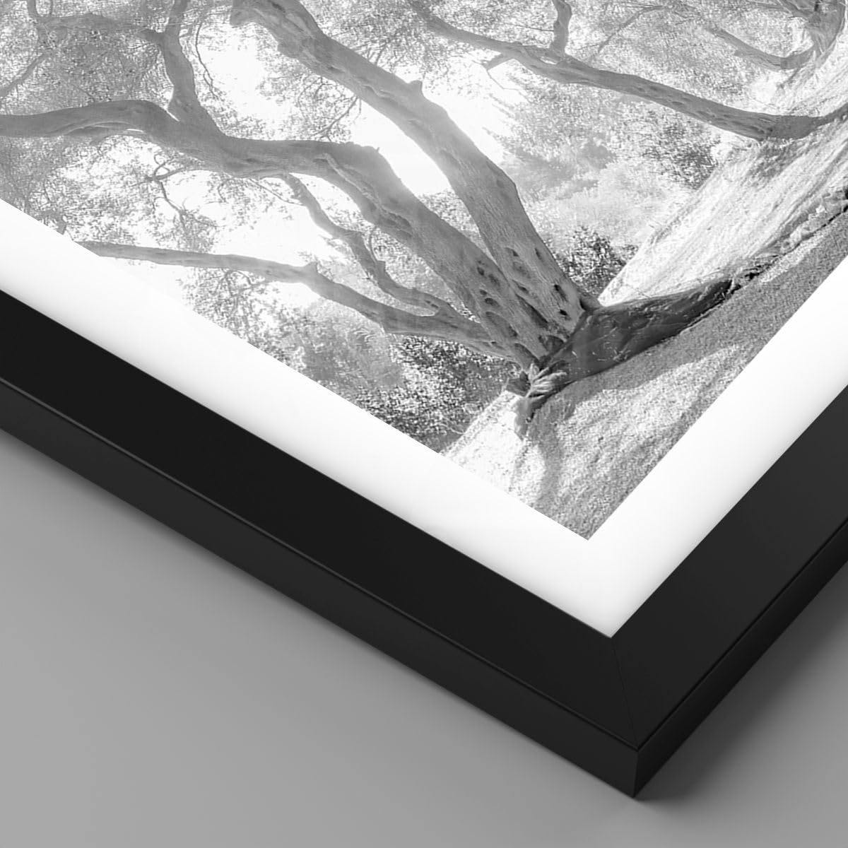ARTTOR Poster Wandbild Kunstdruck 50x70cm Botanik Schwarz-Weiß - 5354 - P2B | Wald Winter Bäume Vertikal mit schwarzem Rahmen Wohnzimmer Schlafzimmer Küche Büro Wanddeko Kunstposter ARTTOR