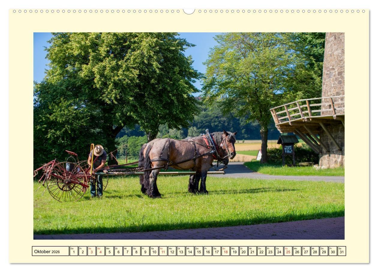 Arbeitspferde - Alltag des belgischen Kaltbluts (hochwertiger Premium Wandkalender 2026 DIN A2 quer), Kunstdruck in Hochglanz: Dieser Kalender zeigt ... belgischen Kaltblütern (CALVENDO Mobilitaet)