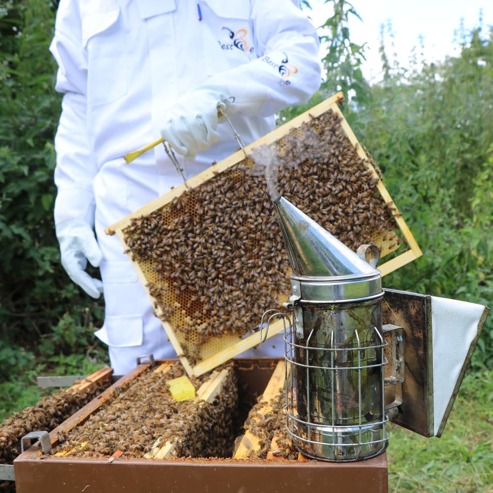 Best Bee - Traje de apicultura, atuendo de apicultor para adultos con guantes de cuero, Traje anti avispas XXXL