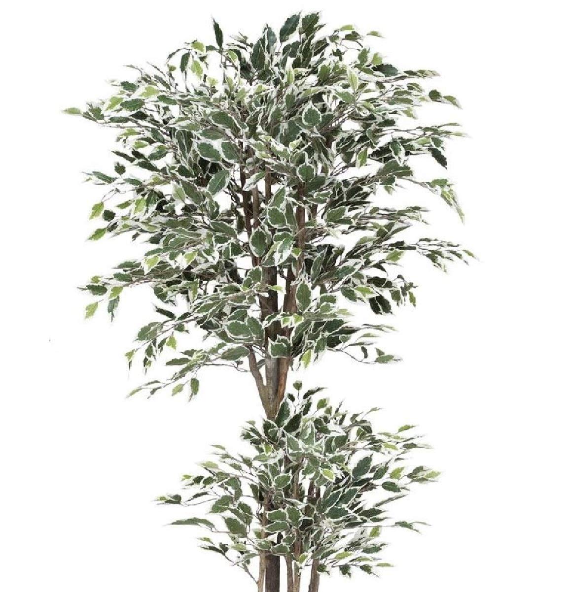 Amazon｜光触媒 人工観葉植物 光の楽園 トロピカルベンジャミン班入り 