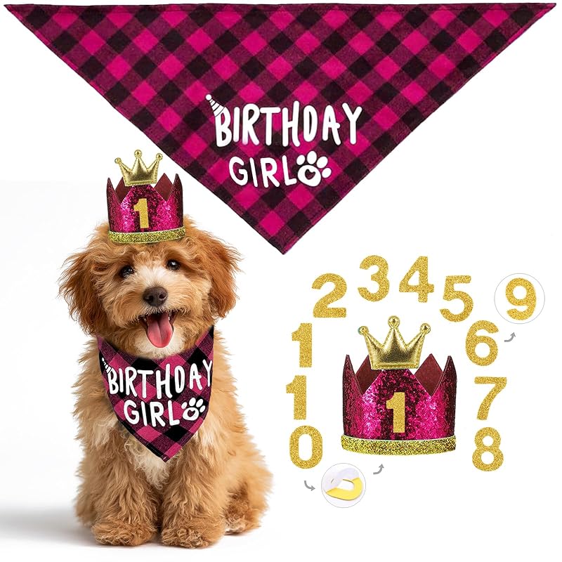 Bandana de Aniversário para Cães com Coroa Rosa X-Small Orangezone, 1 Conjunto