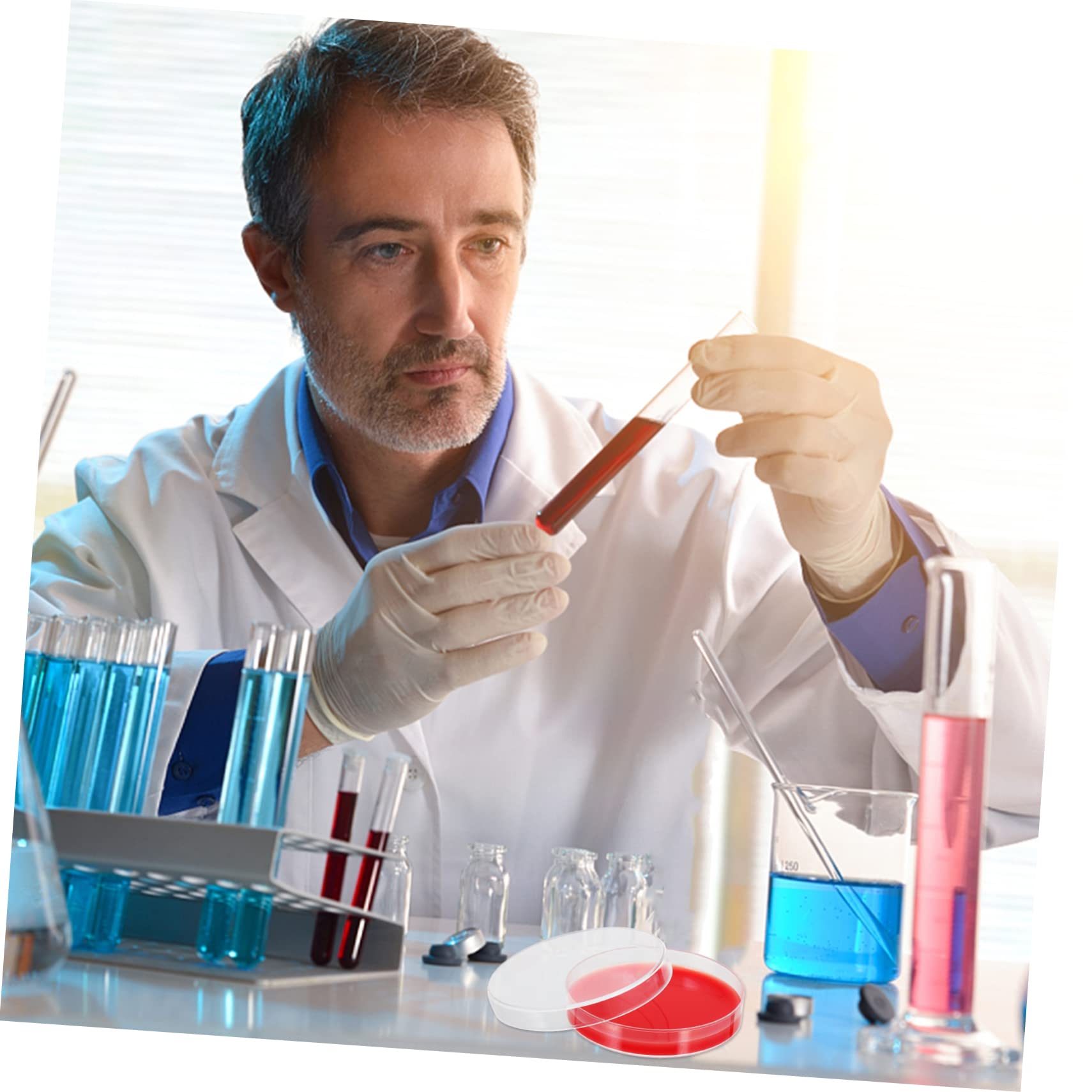 Milieu de Croissance à Base D'agar Rouge pour Laboratoire Médical et Industriel, Boîtes de Pétri en Pe, Surface Lisse Intérieure et Extérieure, Lot de 10 Pièces
