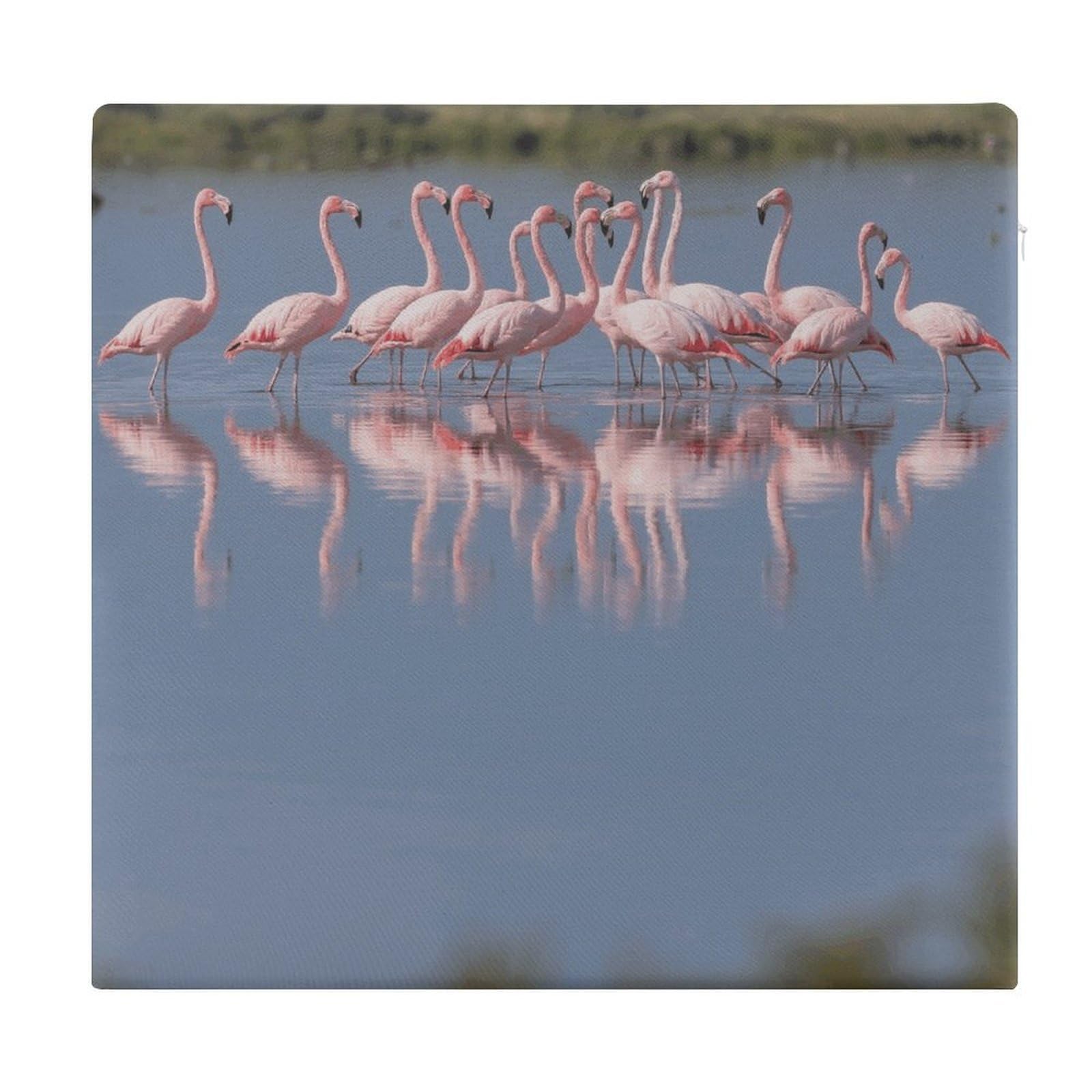 VstaDank A Flock of Flamingos Cushions Memory Dining Chairs Cushion Non Slip Car Seat Cushions Indoo Dining Room Square Chair Pads with Zipper and Removable Cover Cushion