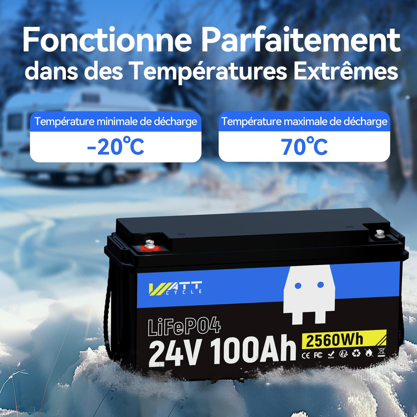 Batterie Lithium 24V 100Ah,24v LiFePO4 Batterie avec Protection de 100A BMS