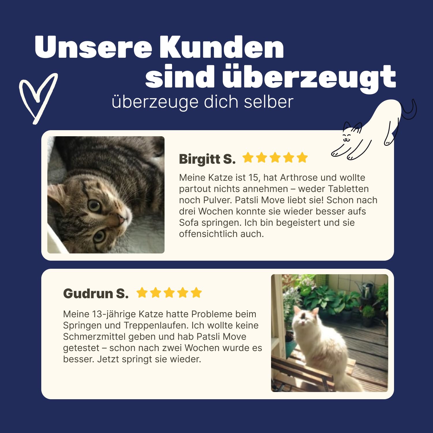 Gelenk-Snacks für Katzen | Stärkt Gelenke mit Grünlippmuschel, MSM, Spirulina, Kollagen | Ergänzungsfuttermittel mit Omega 3 für Katzen | Tierärztlich entwickelt | Leckerli Gelenke Katze | Patsli Move