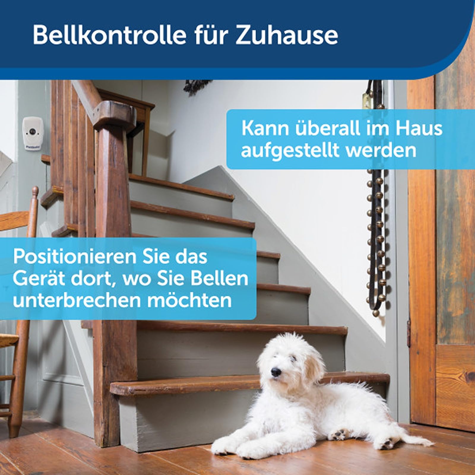 PetSafe Bellkontrolle für Innenräume, Bellsensor mit Ultraschallton, 1er-Pack, 8 M Reichweiter, 2 3V-Batterien nötig