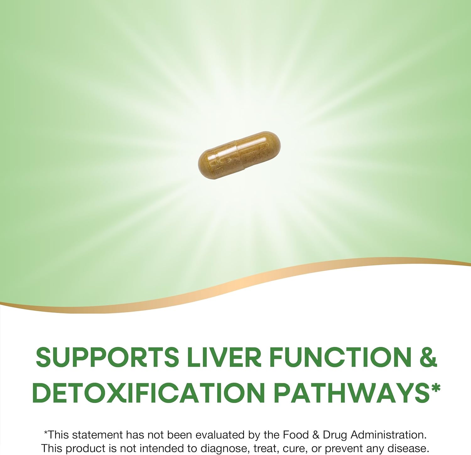 Nature's Way Milk Thistle, Supports Liver Function & Liver Detox Pathways*, 175 mg Milk Thistle Seed Extract Standardized to 80% Silymarin per Serving, Vegan, 60 Capsules (Packaging May Vary) - Image 3