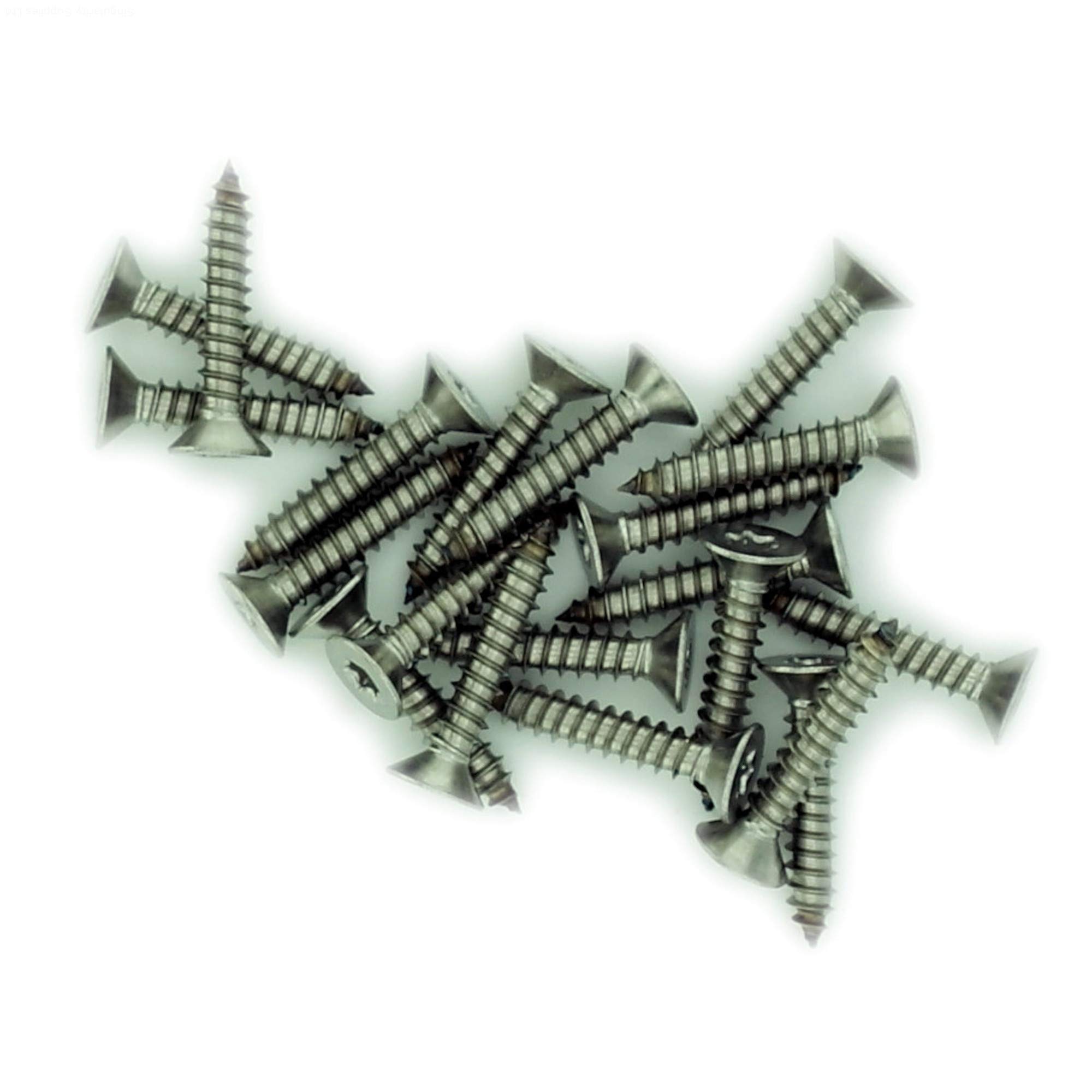 Singularity Supplies Silver No.6 X 0.5 (3.5Mm X 13Mm) Tx Countersunk Self-Tapping Screw - Stainless Steel (A2) (Pack Of 20)
